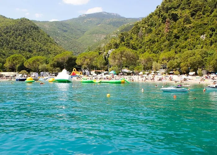 Double Medveja 7775a