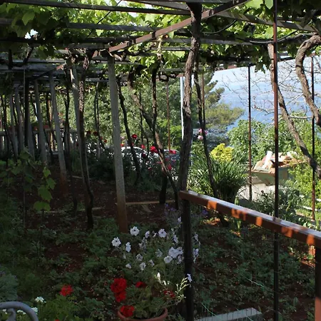 Double Medveja 7775a Affittacamere 3*